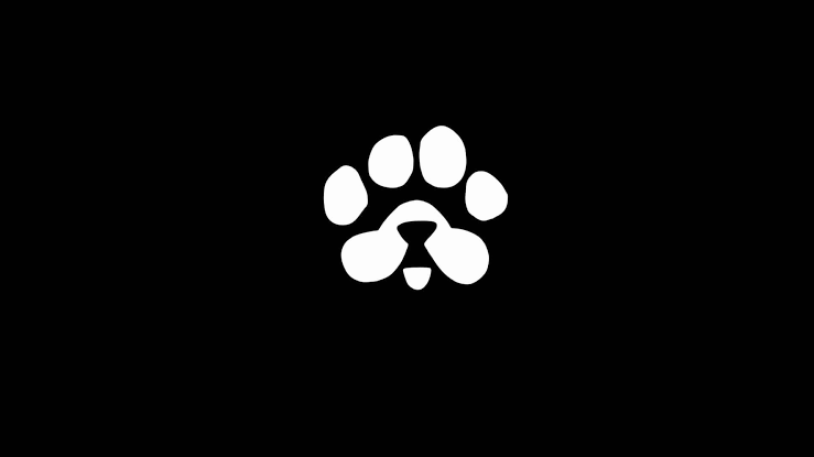 PAWS Airdrop Guide